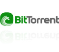 Safely Enable BitTorrent
